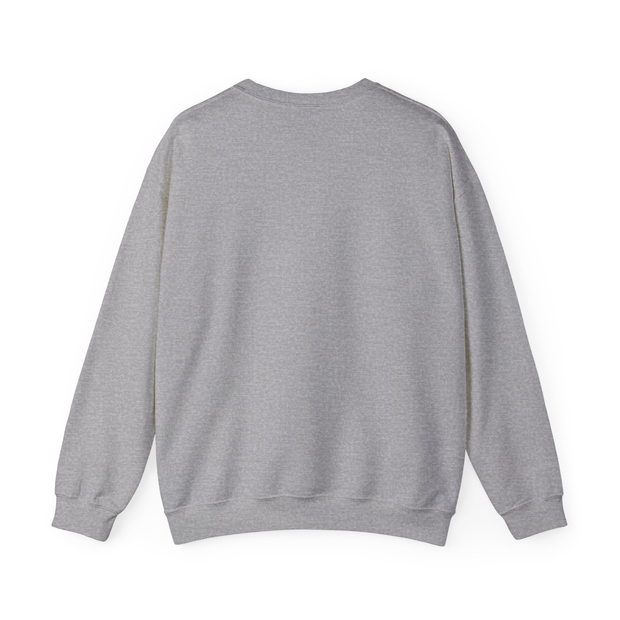 USER NOT FOUND / ARCHIVAL CREWNECK SWEATSHIRT