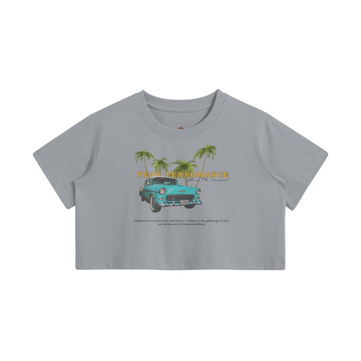 0-Y77-Front Side